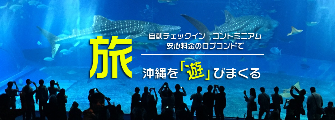 img20191205103626333163.jpg