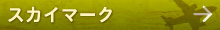 スカイマーク