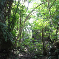 斎場