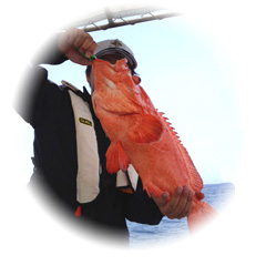 釣りを楽しみたいお客様
