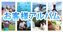 お客様アルバム